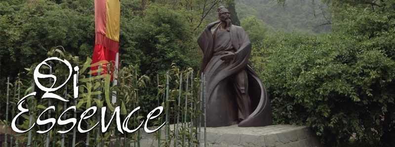 Qi Essence: To inspire, educate and share the gift of the ancient Chinese Taoist self healing practices of Tai Chi and Qigong. Kelley Ireland