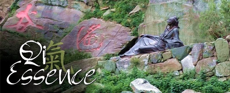 Qi Essence: To inspire, educate and share the gift of the ancient Chinese Taoist self healing practices of Tai Chi and Qigong. Kelley Ireland