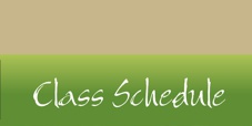 Qi Essence Class Schedule
